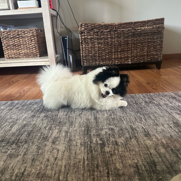 ❤️LOVES OFFERS ❤️! - Picture 14 of 16